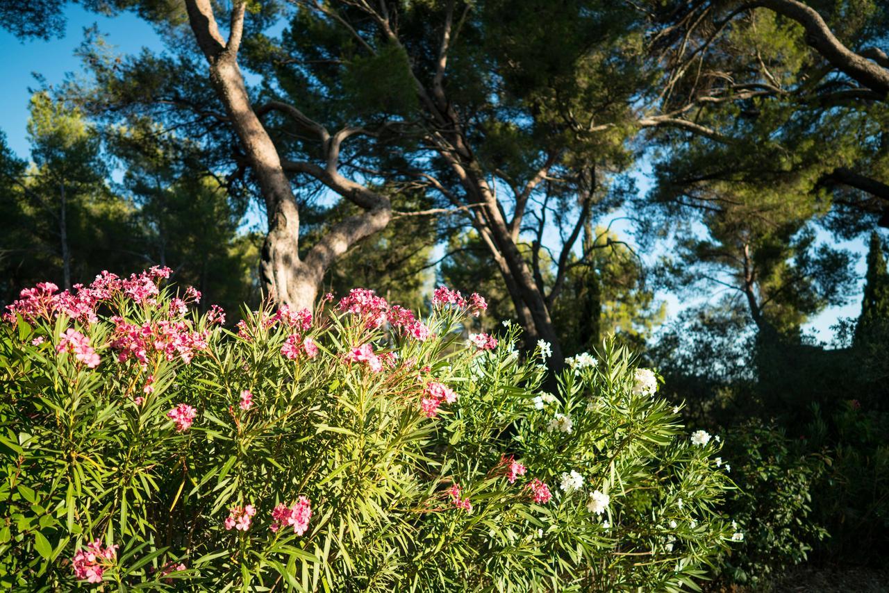 Domaine De Saint Clair Bed & Breakfast